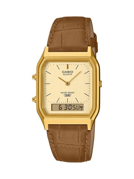 CASIO CLASSIC