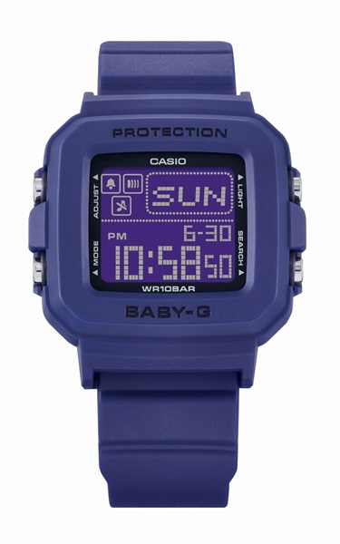 BGD-10K SERIES